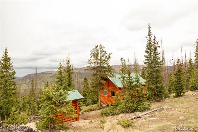 3190 Forest Road 503 Creede, CO 81130