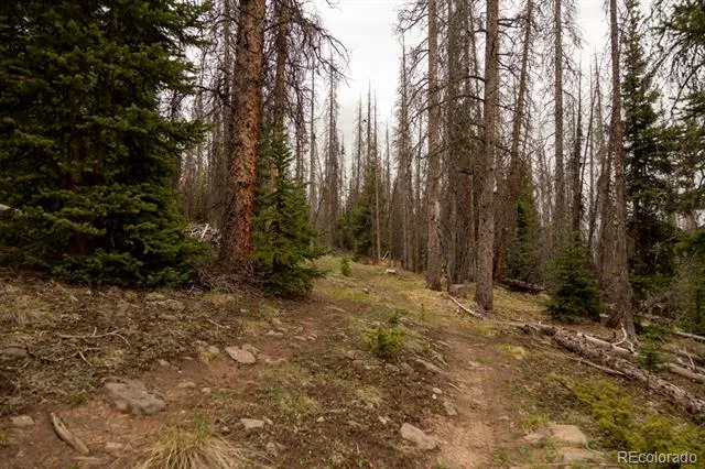 3190 Forest Road 503 Creede, CO 81130