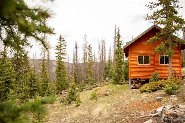 3190 Forest Road 503 Creede, CO 81130
