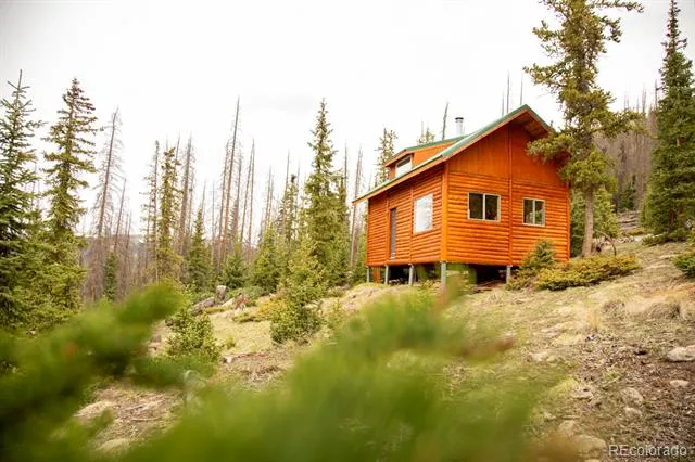 3190 Forest Road 503 Creede, CO 81130