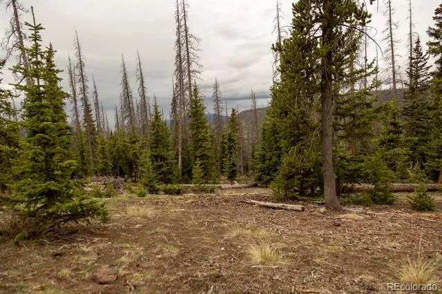 3190 Forest Road 503 Creede, CO 81130