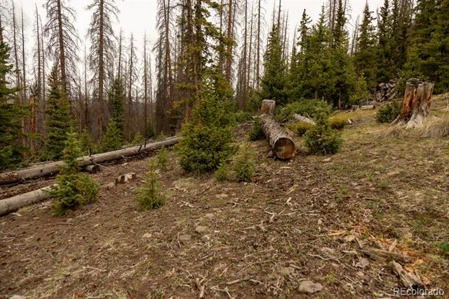 3190 Forest Road 503 Creede, CO 81130