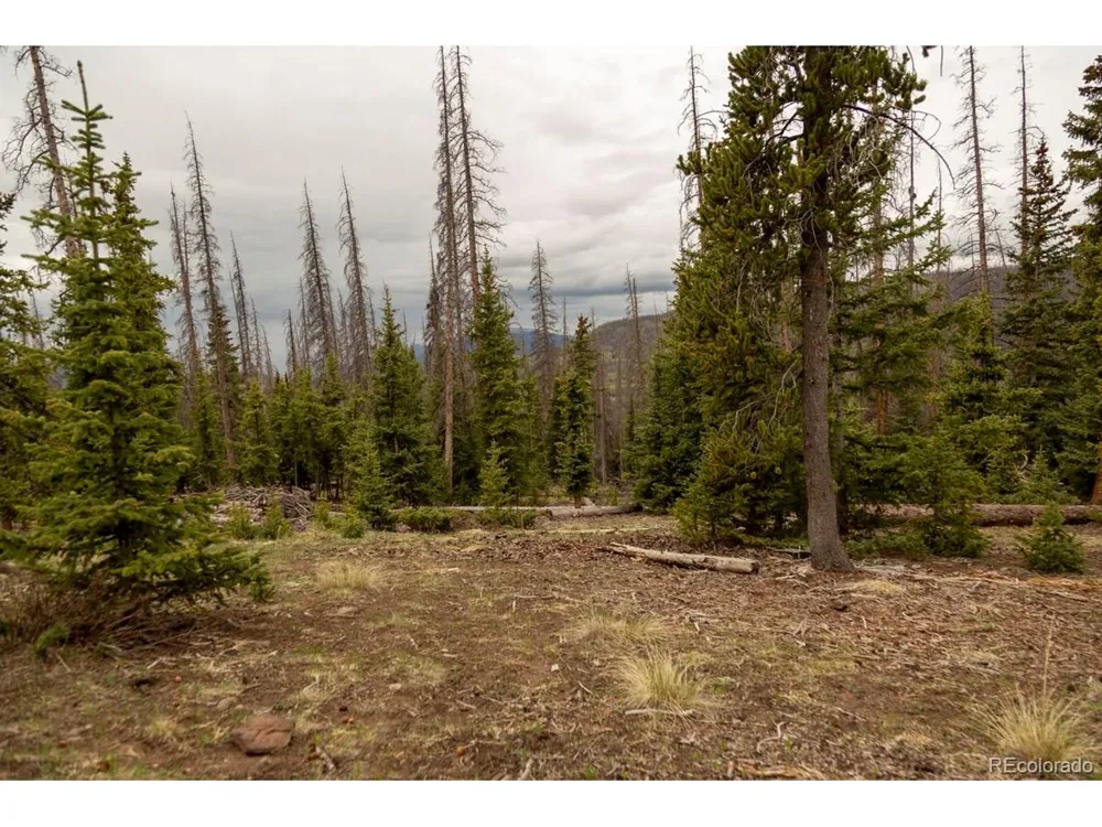 3190 Forest Road 503 Creede, CO 81130