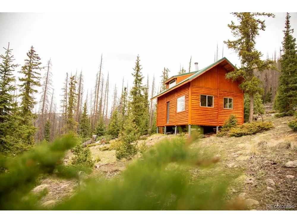 3190 Forest Road 503 Creede, CO 81130