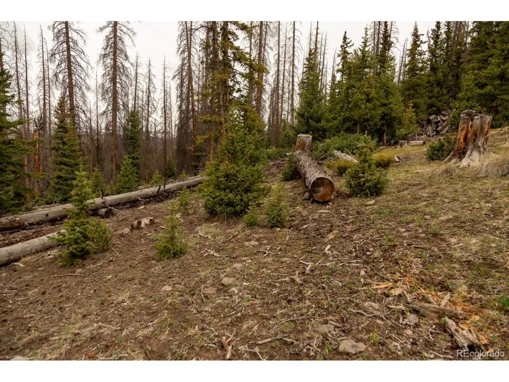 3190 Forest Road 503 Creede, CO 81130