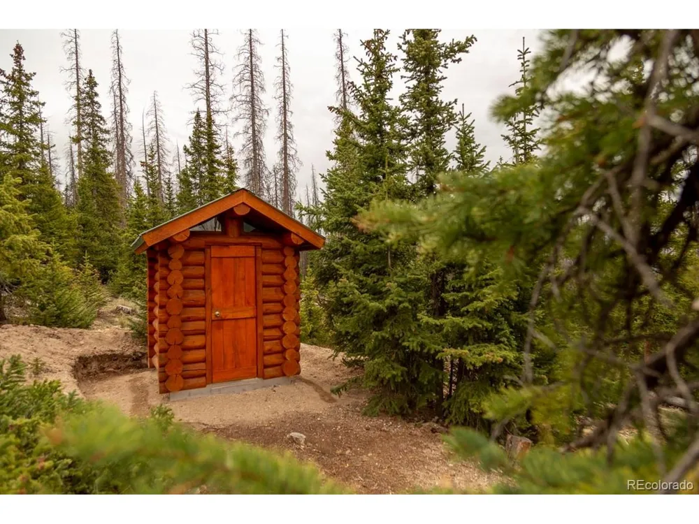 3190 Forest Road 503 Creede, CO 81130