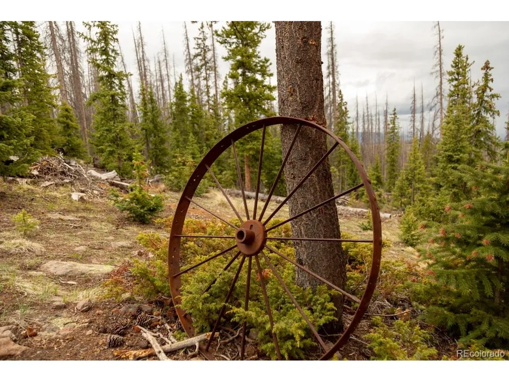 3190 Forest Road 503 Creede, CO 81130