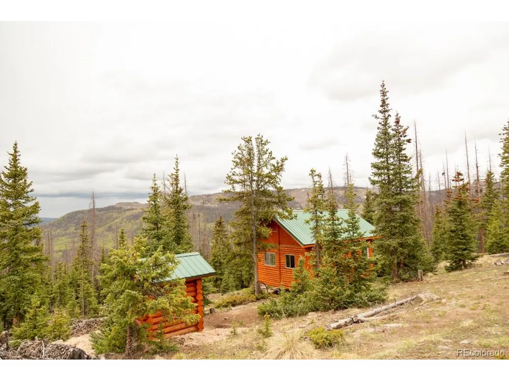 3190 Forest Road 503 Creede, CO 81130