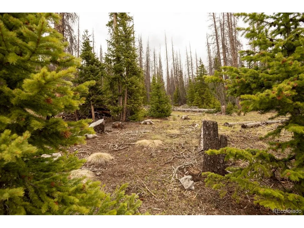 3190 Forest Road 503 Creede, CO 81130