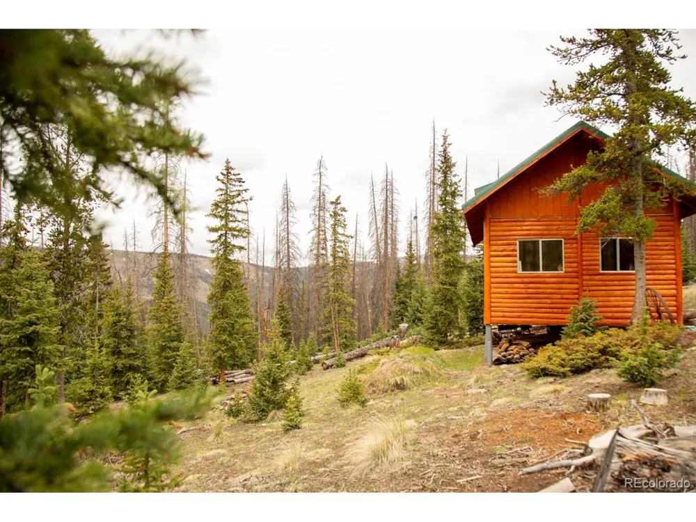 3190 Forest Road 503 Creede, CO 81130