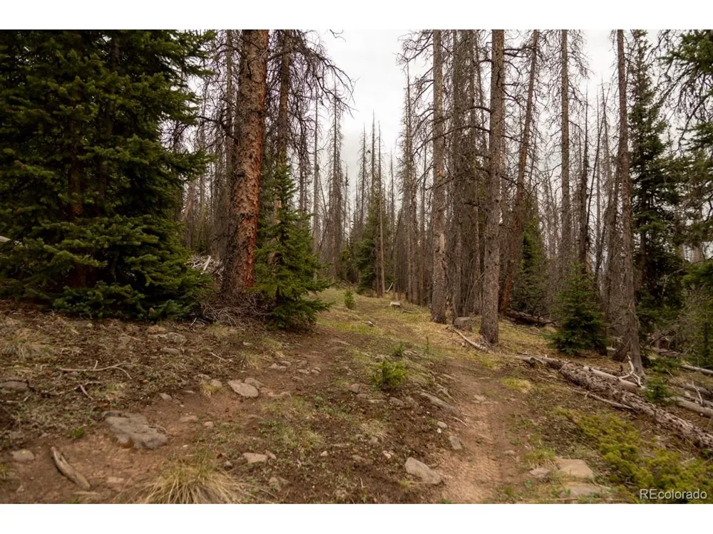 3190 Forest Road 503 Creede, CO 81130