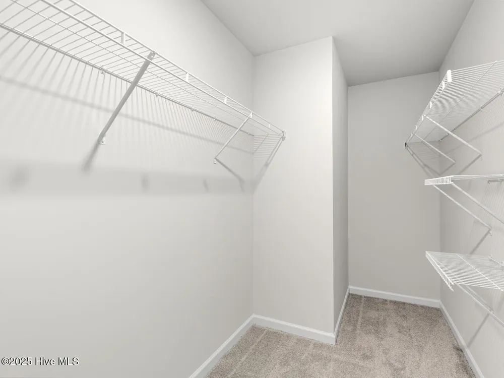 528 Barrelwood Drive #Lot 81 Jacksonville, NC 28546