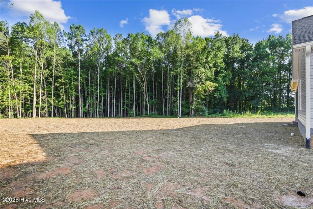 1575 S Big Woods Road Spring Hope, NC 27882