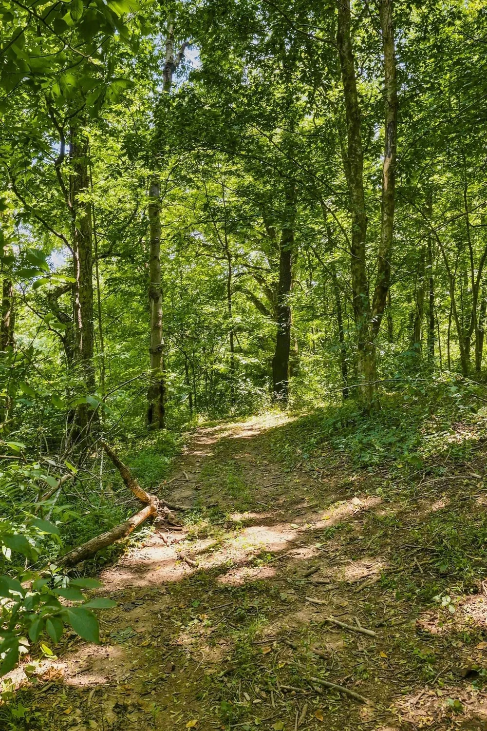 212 Kippsford Pond Rd Columbia, TN 38401