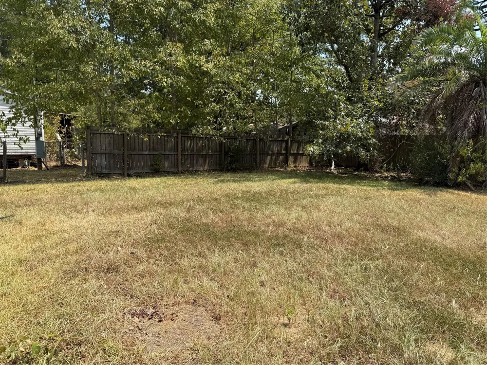 239 Sycamore Ridge Onalaska, TX 77360