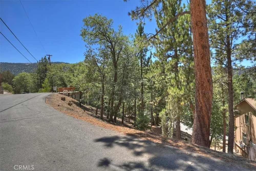 Sheephorn Road Big Bear Lake, CA 92315