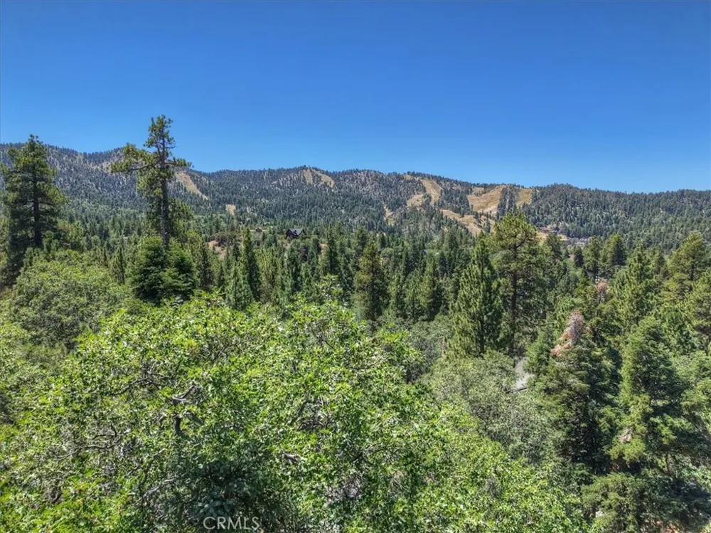Sheephorn Road Big Bear Lake, CA 92315