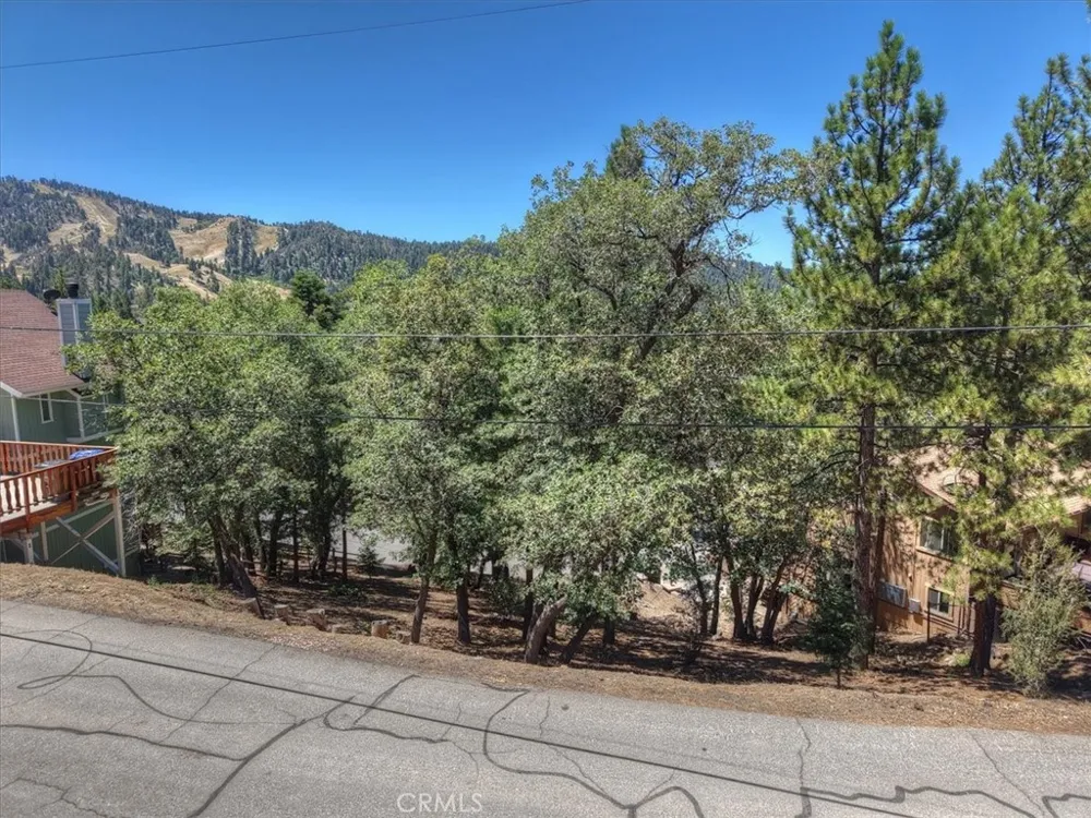 Sheephorn Road Big Bear Lake, CA 92315