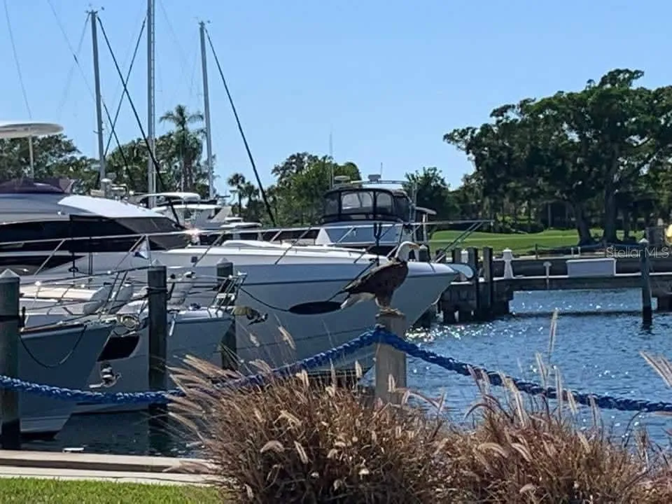 2600 HARBOURSIDE DRIVE #I-12 Longboat Key, FL 34228