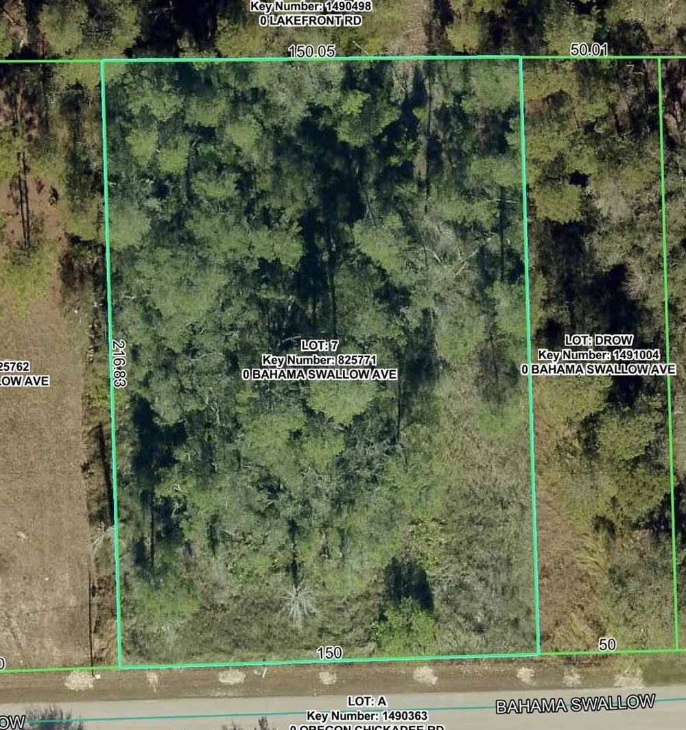 7277 BAHAMA SWALLOW AVENUE Weeki Wachee, FL 34613