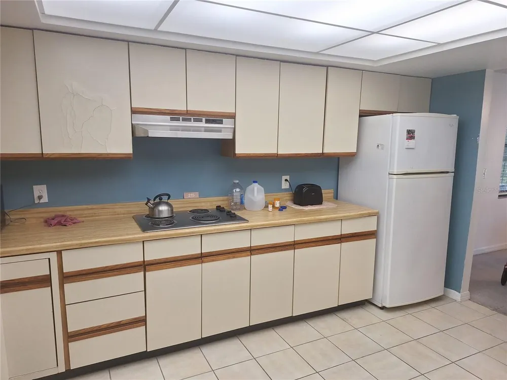 504 S FLORIDA AVENUE #215 Tarpon Springs, FL 34689