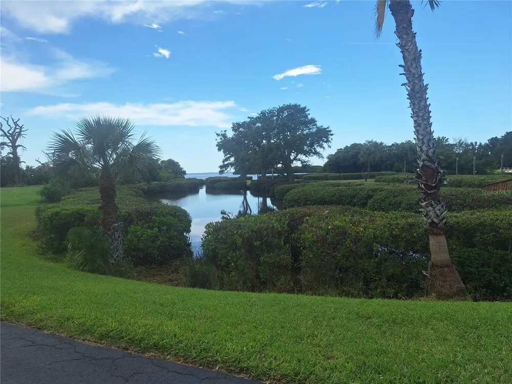 504 S FLORIDA AVENUE #215 Tarpon Springs, FL 34689