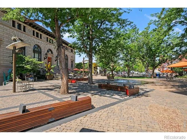 703 W Mountain Avenue Fort Collins, CO 80521