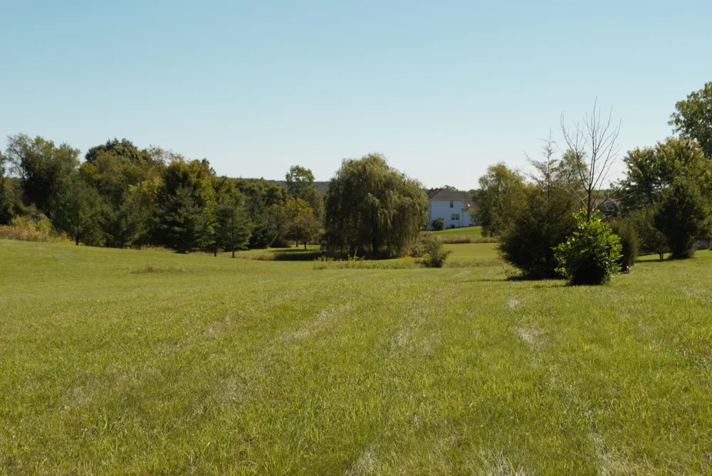 11490 Castleton Court Dexter, MI 48130