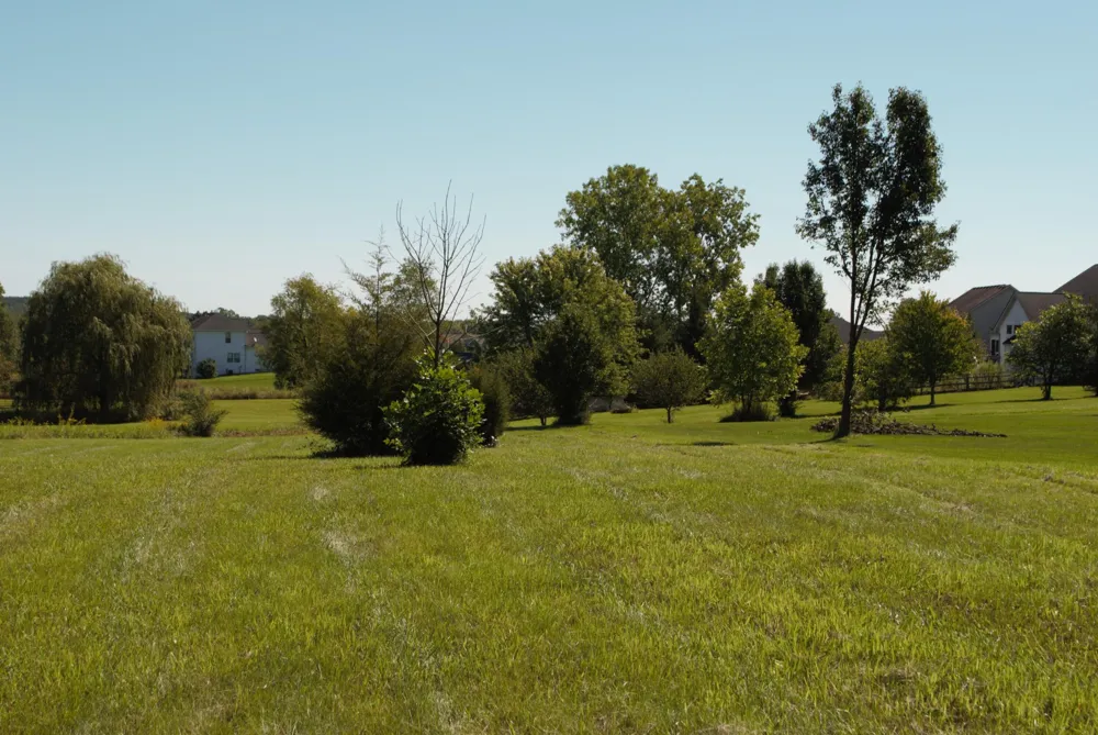 11490 Castleton Court Dexter, MI 48130