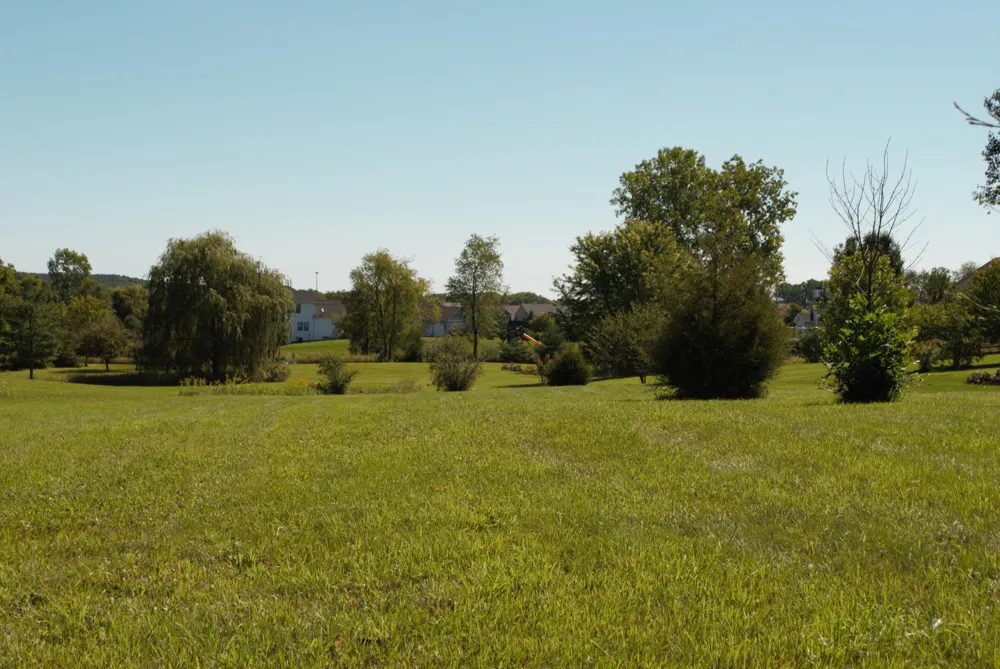11490 Castleton Court Dexter, MI 48130