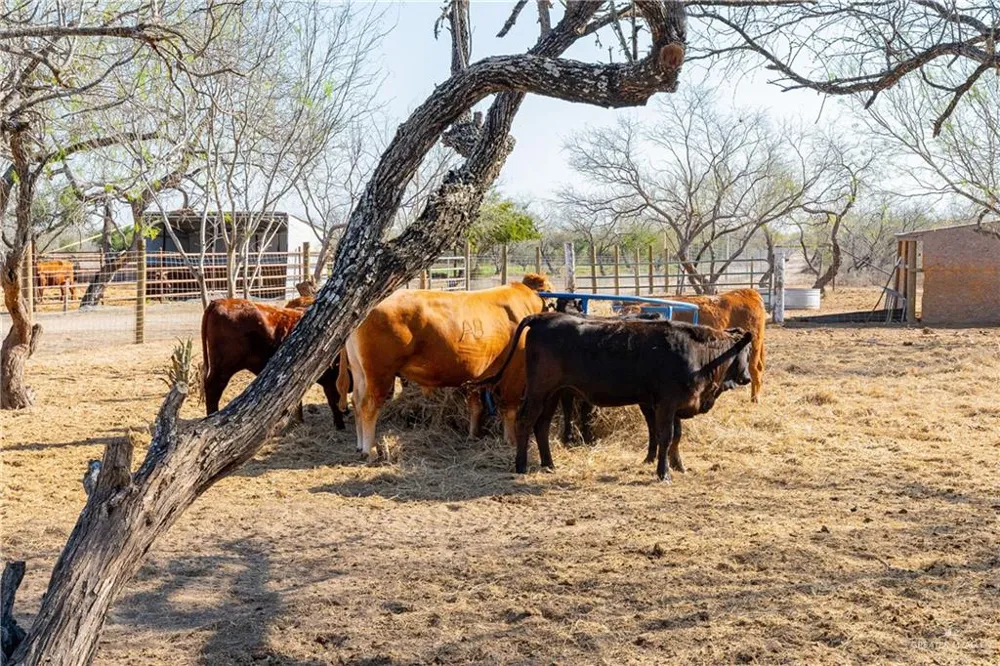 38713 FM 681 Linn, TX 78563