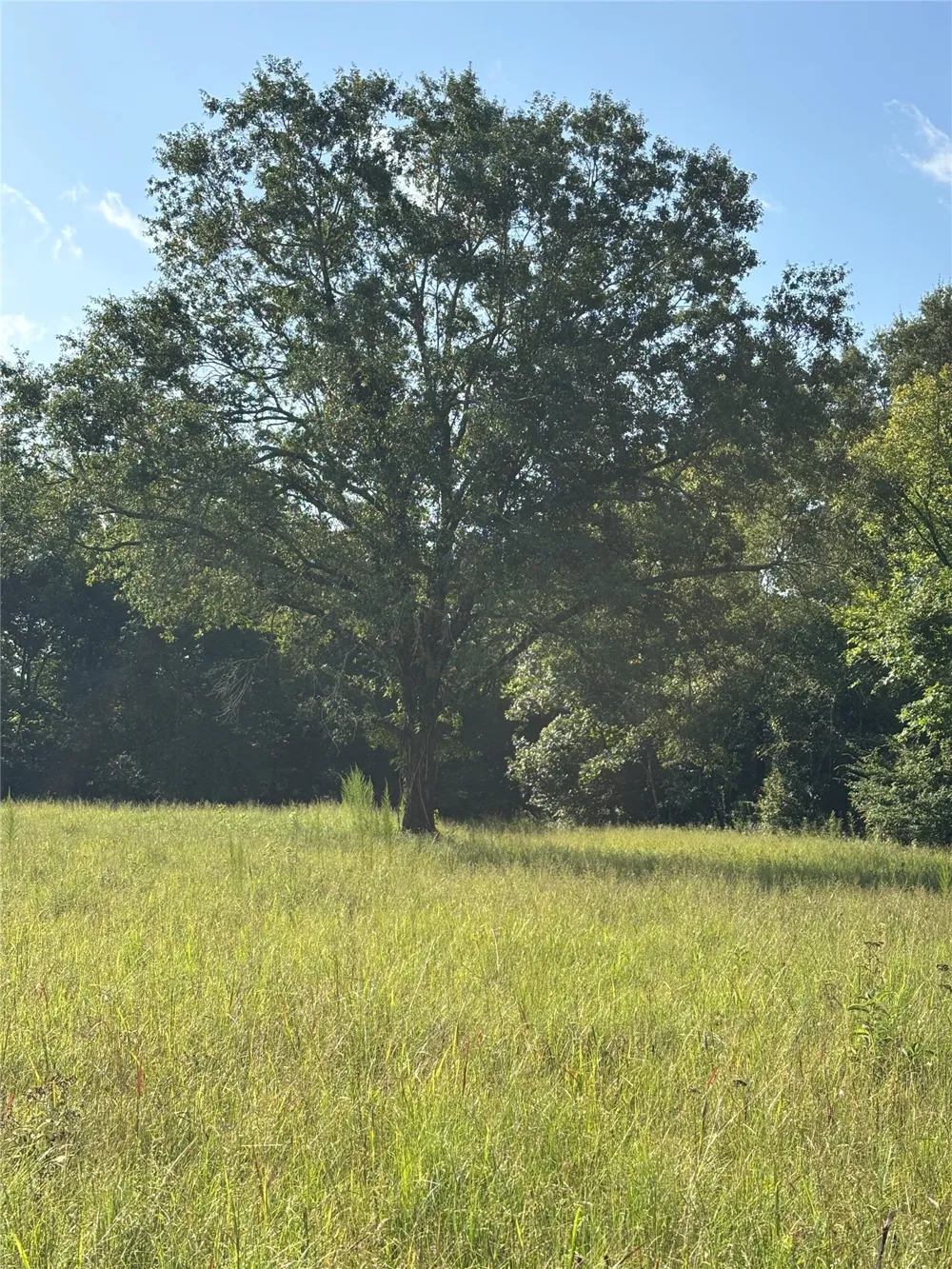 29824 144 Highway Smithville, OK 74957