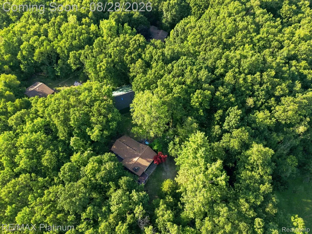 2420 Shagbark Milford Charter Township, MI 48380