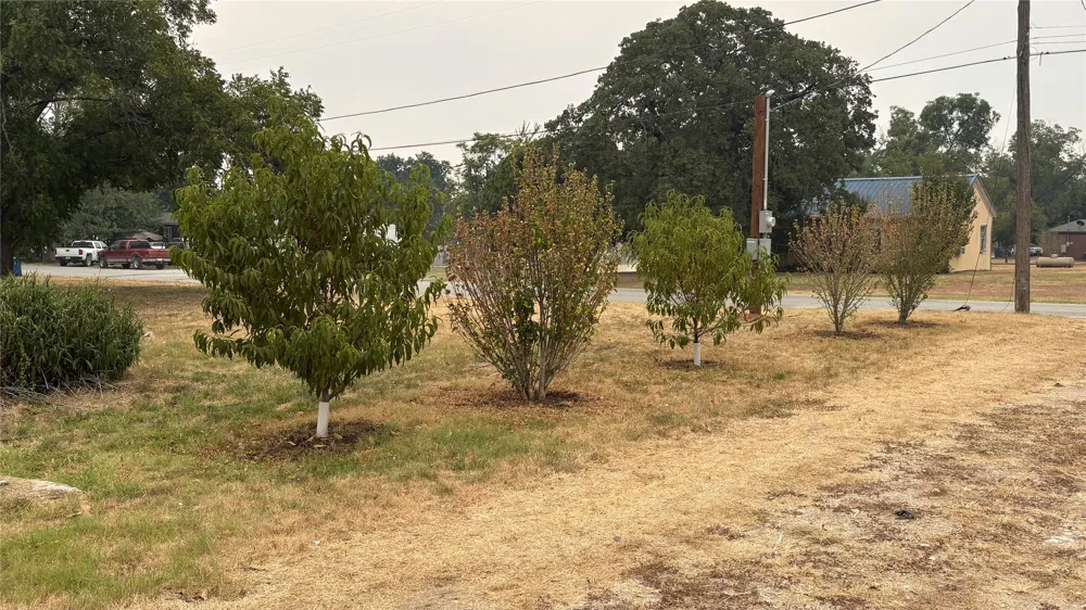 701 W Manchaca Avenue De Leon, TX 76444