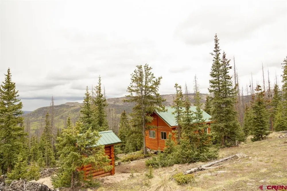 3190 Forest Rd #503 Creede, CO 81130