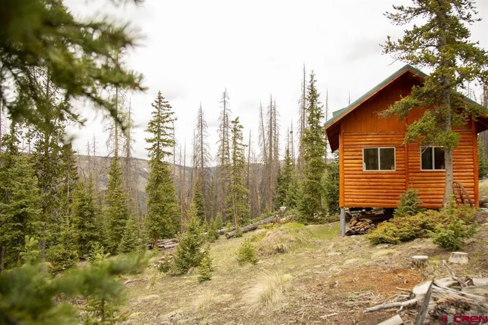 3190 Forest Rd #503 Creede, CO 81130