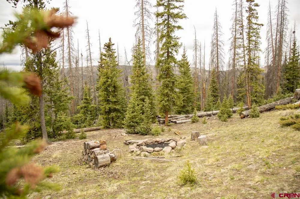 3190 Forest Rd #503 Creede, CO 81130