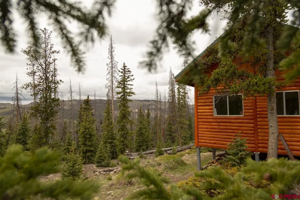 3190 Forest Rd #503 Creede, CO 81130