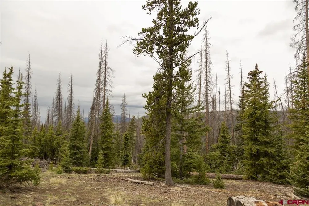 3190 Forest Rd #503 Creede, CO 81130