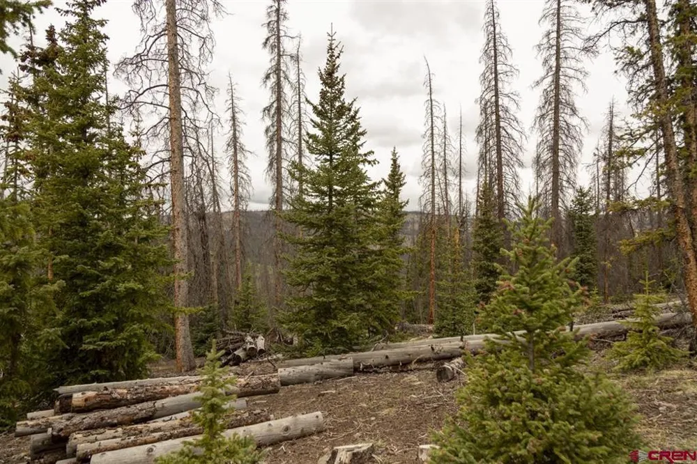 3190 Forest Rd #503 Creede, CO 81130