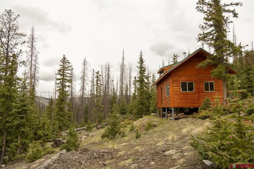 3190 Forest Rd #503 Creede, CO 81130