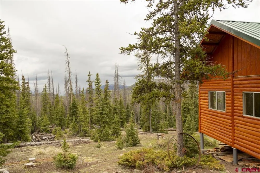 3190 Forest Rd #503 Creede, CO 81130
