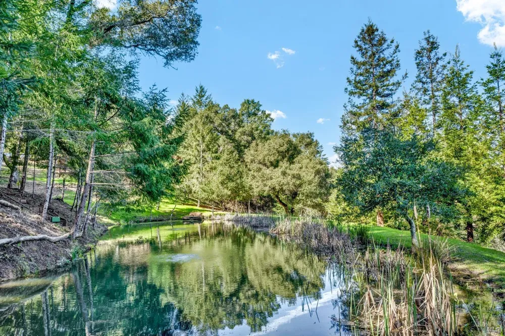 40 Los Pinos Nicasio, CA 94946