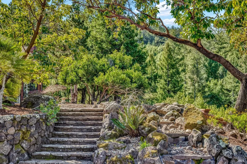 40 Los Pinos Nicasio, CA 94946