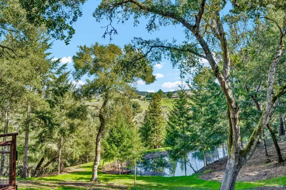 40 Los Pinos Nicasio, CA 94946