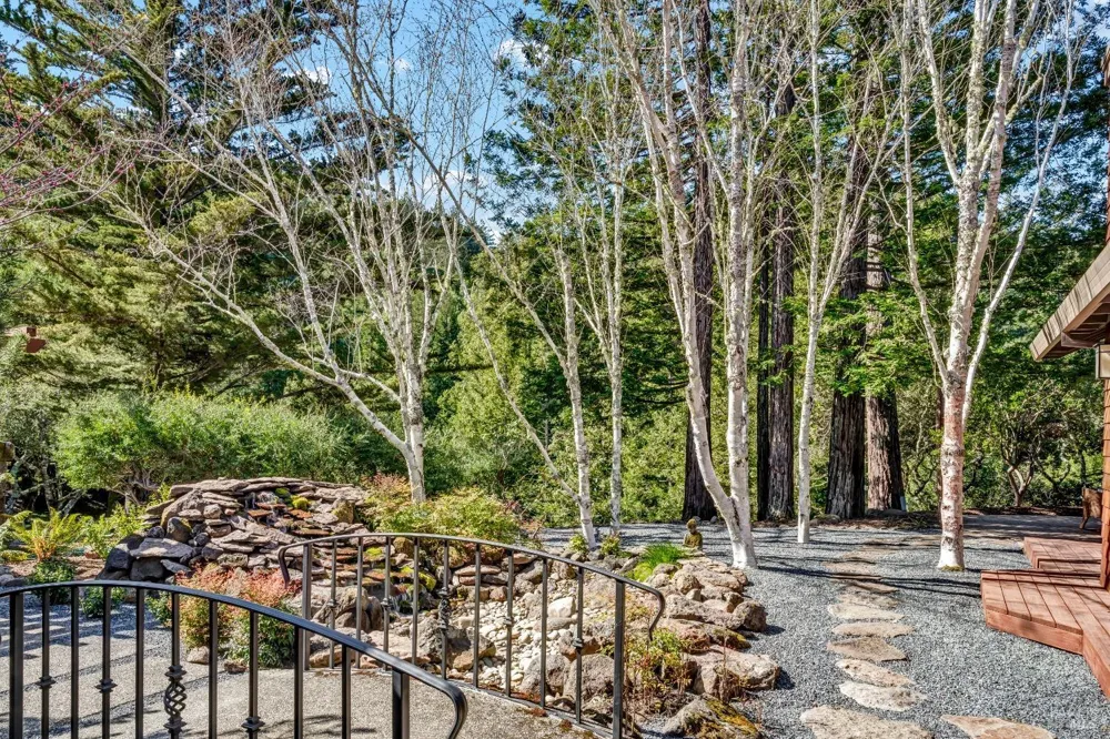 40 Los Pinos Nicasio, CA 94946