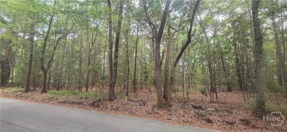 Poplar Guyton, GA 31312