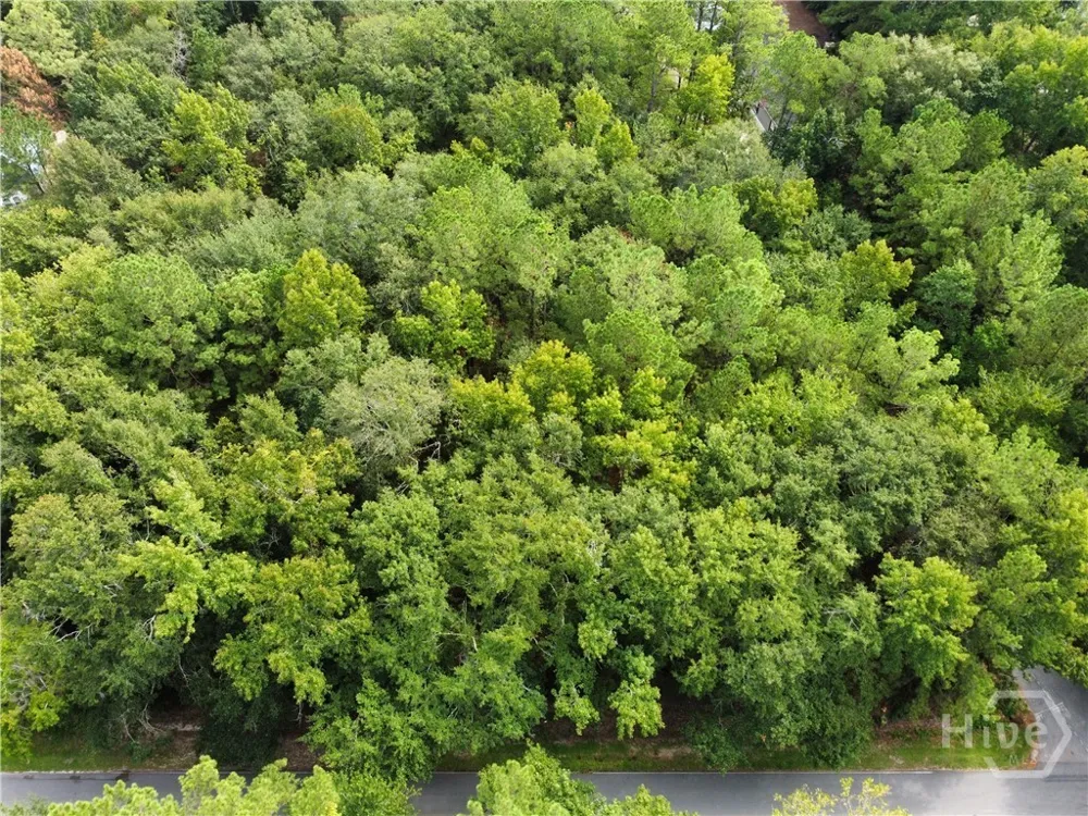 Poplar Guyton, GA 31312