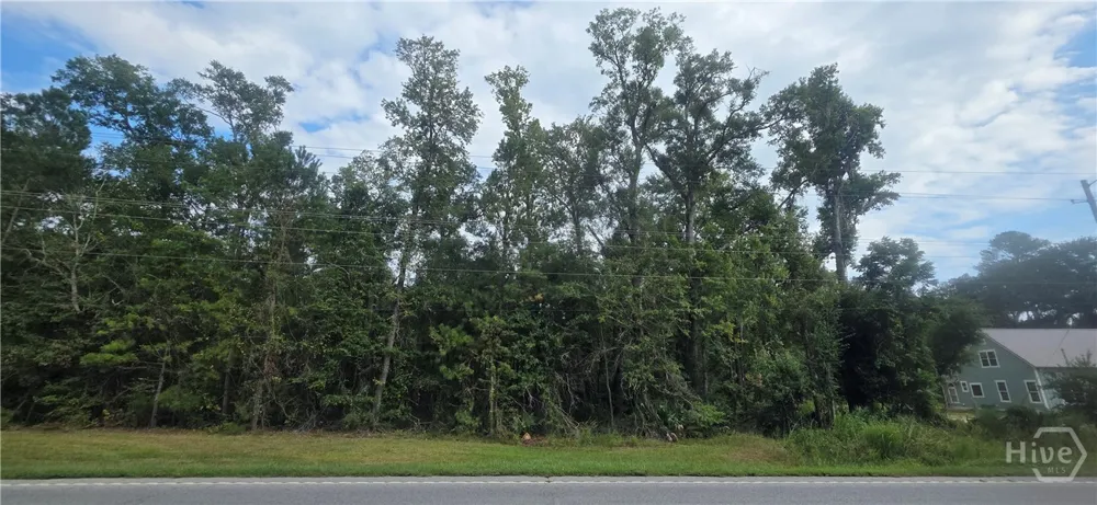 2440 Ga Highway 119 S Guyton, GA 31312