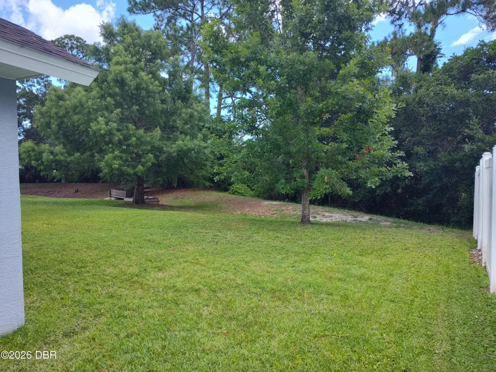 1425 Springleaf Drive Ormond Beach, FL 32174